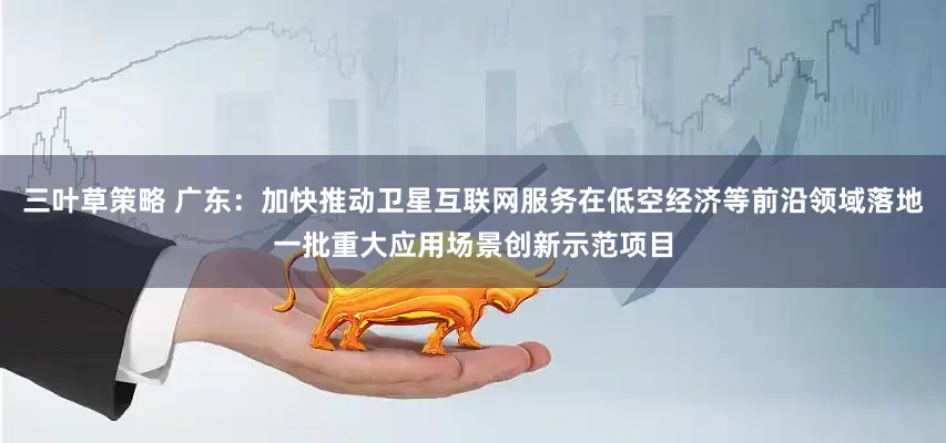 三叶草策略 广东：加快推动卫星互联网服务在低空经济等前沿领域落地一批重大应用场景创新示范项目