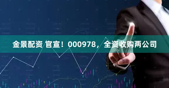 金景配资 官宣！000978，全资收购两公司