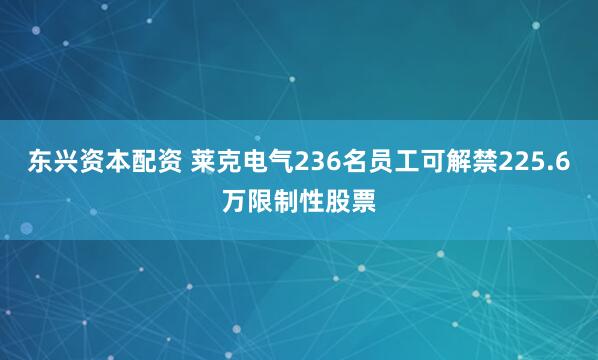东兴资本配资 莱克电气236名员工可解禁225.6万限制性股票